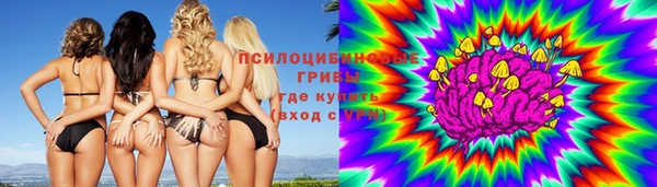 стафф Армянск