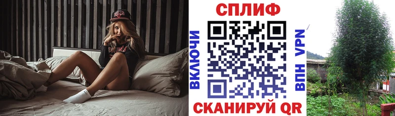 Бошки марихуана THC 21%  ссылка на мегу онион  Павловский Посад 